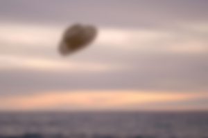             Flying hat		