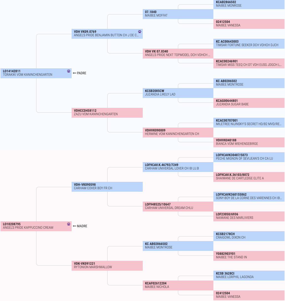 Schermata 2020-02-25 alle 09.55.11